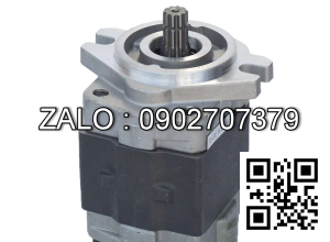 Bơm thủy lực bánh răng Speed 0P-P3000-5015