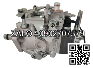 Cân heo dầu , phục hồi heo béc động cơ LISTER PETER LPA2 , 2 CYL , CM3