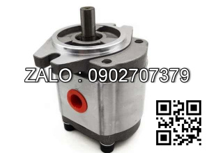 Bơm thủy lực HC TD42 CBTZ-F36-AFφ11L