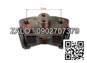 Heo thắng con toyota