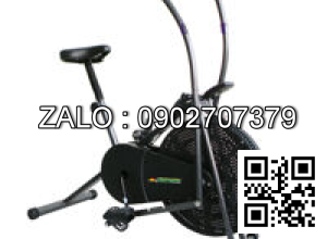 Xe đạp tập thể dục liên hoàn tay chân Royal 963
