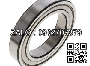 Vòng bi SKF 6016-2Z/2RS