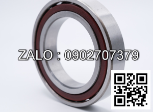 Vòng Bi NSK Tốc Độ Cao 7011CTYNSULP4 - 7011CTYNDBLP5