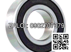 Vòng Bi NTN S6007 Vật Liệu Inox 304