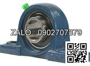 Vòng bi Ucp205-16, Vòng bi Fbj Ucp205-16