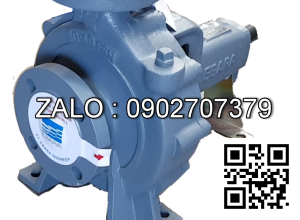 BƠM ĐIỆN ELEKTRIM 18.5KW EBARA 80×65 FSJA