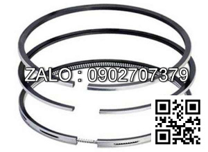 Bạc xéc măng động cơ Westerbeke P10 , 1 CYL , CM3