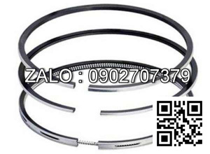 Bạc xéc măng động cơ Westerbeke W10 , 1 CYL , CM3