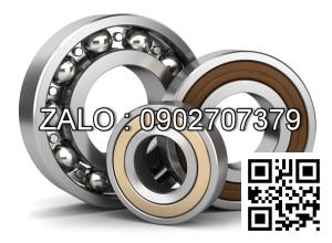 Vòng bi 6205 ZZ