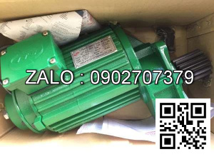 Motor dầm biên Sheng yin 0.6kw