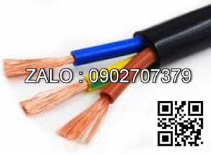 Cáp điện mềm vỏ cao su có lõi bố 3 x 10