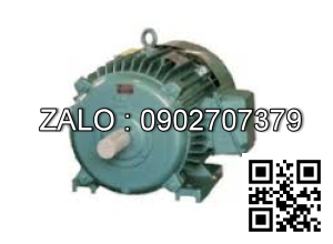 Động cơ 1000 VG/PH - Chân đế 750VG/PH - Chân đế 45kw - 3 pha - 750 vg/ph FM