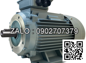 Động cơ 1500 VG/PH - Chân đế 0.125kw - 3 pha - 1500 vg/ph CD