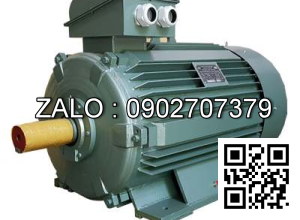 Động cơ 3000 VG/PH - Chân đế 7.5kw - 3 pha - 3000 vg/ph CD