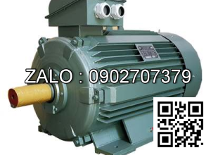 Động cơ 3000 VG/PH - Chân đế 0.75kw - 3 pha - 3000 vg/ph CD