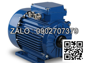 Động cơ 3000 VG/PH - Chân đế 0.125kw - 3 pha - 3000 vg/ph CD