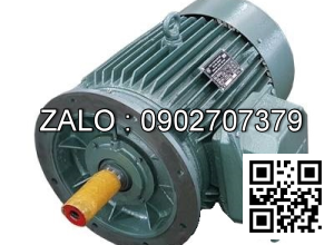 ĐỘNG CƠ 3 PHA - 1000 VG/PH - MẶT BÍCH 4.5kw - 3 pha - 1000 vg/ph MB