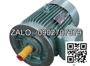 ĐỘNG CƠ 3 PHA - 1500 VG/PH - MẶT BÍCH 3kw - 3 pha - 1500 vg/ph MB