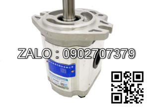 Bơm Thủy Lực CBTD-F420-ALH4-TX , CBTD-F420-ALH4-TX
