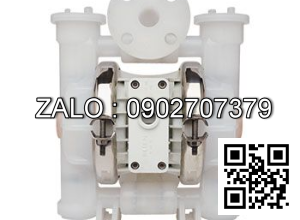 Pump: P2/PKPPP/TWS/TF/PTV/0400, WILDEN