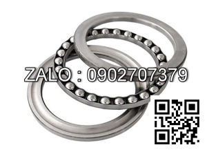 Vòng bi Bạc đạn cầu tự lựa 1307 1312 1313 1318 1200 1201 1202 1203 1204