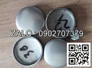 Đồng tiền nước xe nâng YANMAR 4D88E,4TNE88