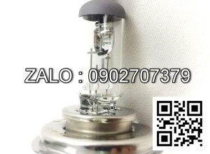 Bóng đèn DONG HO 12V, 1.7W