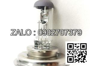 Bóng đèn (12V35/35W)