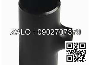 Tê hàn giảm Inox 304-1 SCH10 DN200/125