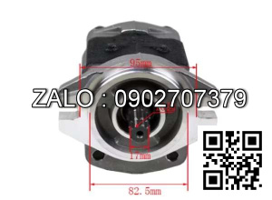 Bơm thủy lực HANGCHA 490BPG 495BPG A490BPG A495BPG/ R SERIES 2-3.5T A49 CBHZG-F32-ALH6L/N150-601100-000