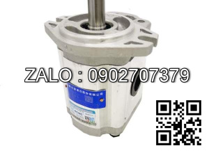 Bơm thủy lực Hangcha CBTDHE-F16-TL-G00 CBTDHE-F16-TL-G00