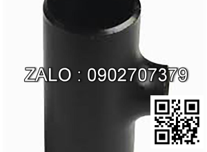 Tê hàn giảm Inox 304 SCH40 DN40/20