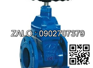 Van cổng mặt bích JIS 10K gang DN50