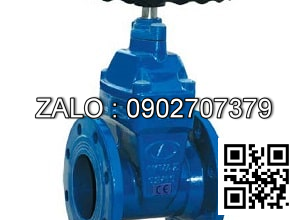 Van cổng mặt bích JIS 10K gang DN65