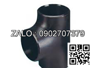 Tê hàn SCH40 gang DN80