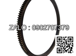 Vòng răng ngoài của Spindle PN 4738-0900-005 dùng cho dây chuyền Cán Nguội