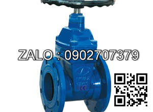 Van cổng gang ty chìm DN65, ASME B16.10