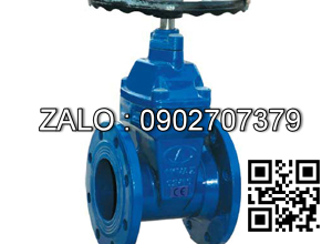 Van cổng gang ty chìm DN80, ASME B16.10