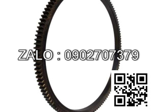 Vòng răng ngoài PN 4738-0900-005