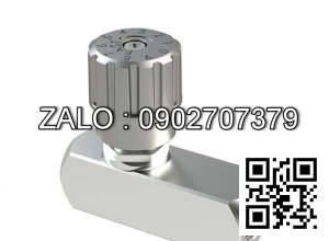 Van tiết lưu 1 chiều STUF100 - BSPP 1