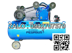 Máy nén khí giảm âm PEGASUS TM-OF550-T