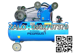 Máy nén khí giảm âm PEGASUS TM-OF750-22L