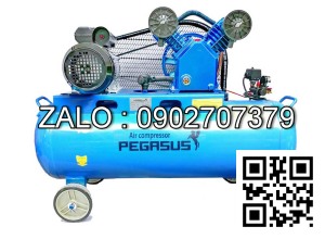 Máy nén khí một cấp PEGASUS TMW900/8