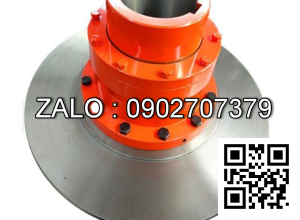 Khớp nối thắng đĩa WGP6 Y95x172/J1 70x107