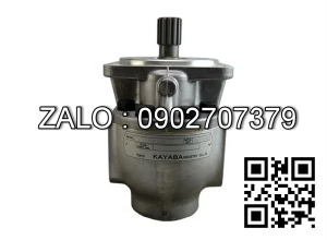 Bơm thủy lực xe nâng P20300C