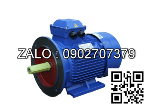Motor 0,15KW, 380V, 50/60hZ