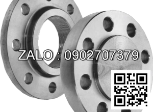 Mặt bích DIN DN300