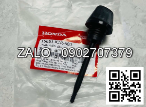 TY THAM NHOT (FD) 11971-13H00V000