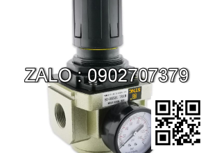 Bộ điều áp ( hãng STNC) TR5000-06