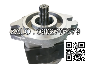 Bơm thủy lực (SHIMADZU/japan) SGP1A-34